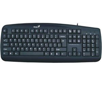 Genius Keyboard (KB110)